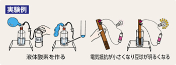 ケニスオンラインショップ － 商品詳細ページ