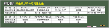 ケニスオンラインショップ － 商品詳細ページ