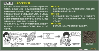 ケニスオンラインショップ － 商品詳細ページ