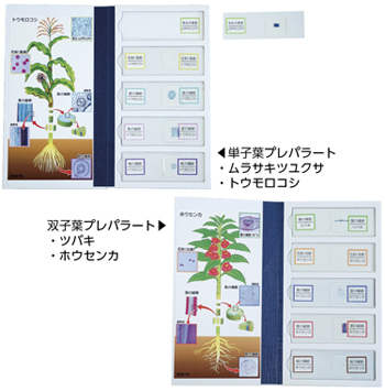 ケニスオンラインショップ － 商品詳細ページ